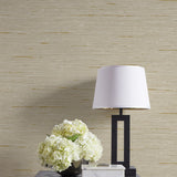 CP90205 faux grasscloth textured vinyl wallpaper decor from the A Lot More Textures collection by Seabrook Designs