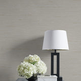 CP90225 faux grasscloth textured vinyl wallpaper decor from the A Lot More Textures collection by Seabrook Designs