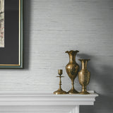 CP90228 faux grasscloth textured vinyl wallpaper accent from the A Lot More Textures collection by Seabrook Designs