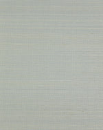 LN50018 Icy Path Simute Sisal Grasscloth Unpasted Wallpaper