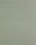 LN50023 Light Green Sisal Grasscloth Unpasted Wallpaper