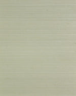 LN50024 sisal grasscloth wallpaper from Lillian August