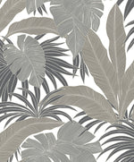 NW58707 tropical  leaf peel and stick wallpaper from NextWall