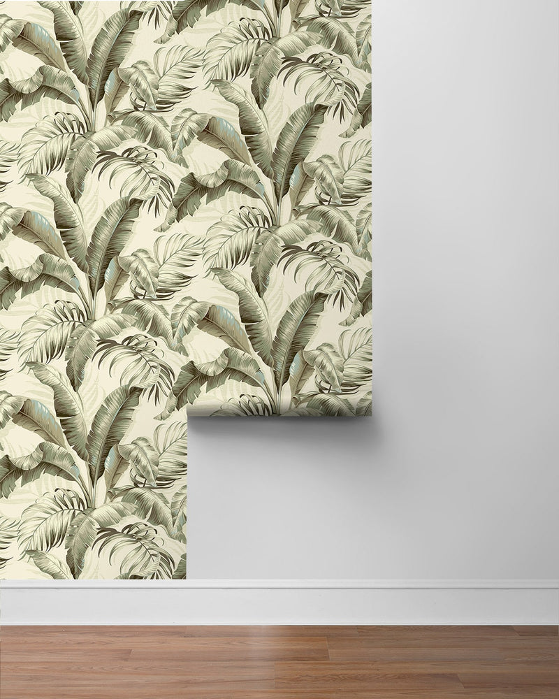 Palm leaf peel and stick wallpaper roll 802801WR from Tommy Bahama Home